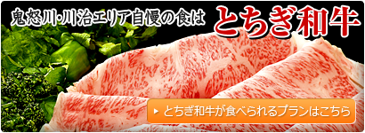S{E쎡GA̐H́uƂav