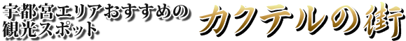 宇都宮エリアおすすめの観光スポット カクテルの街
