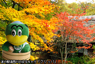 ̉ŵLuNbpv