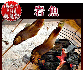 湯西川・川俣・奥鬼怒「岩魚」