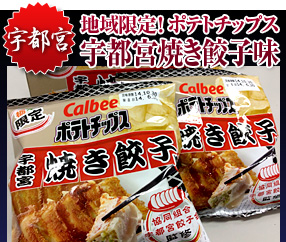 宇都宮「地域限定! ポテトチップス宇都宮焼き餃子味」