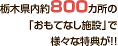 Ȗ،800J́uĂȂ{݁vŗlXȓTII