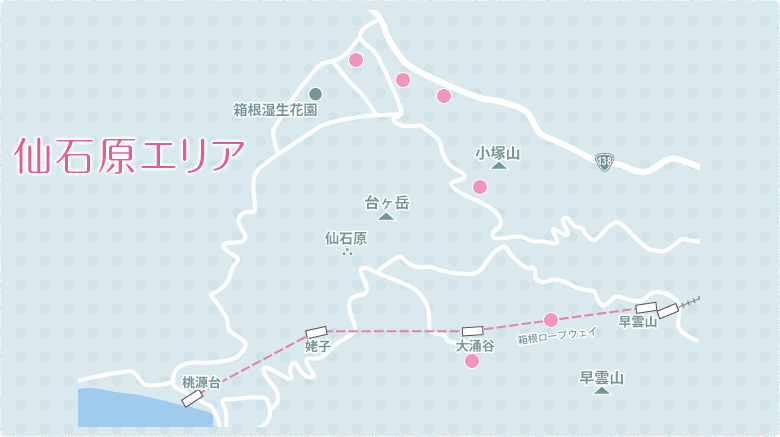 仙石原エリア