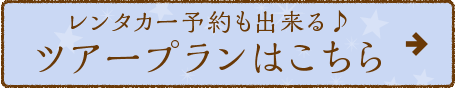 ^J[\ocA[v͂