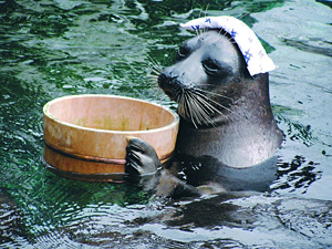 箱根園水族館