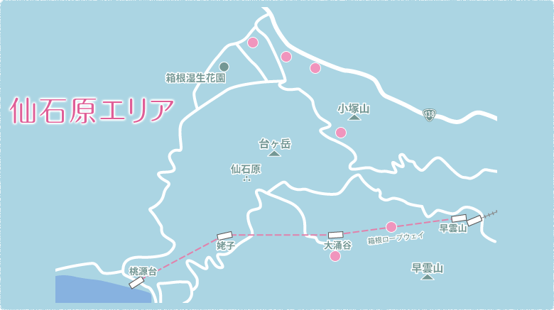 仙石原エリア