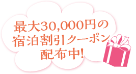 ő30,000~̏hN[|zzI