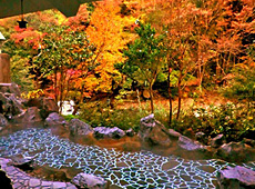 鶴井の宿紫雲荘<露天風呂>
