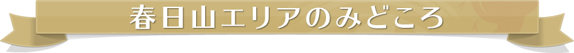 tRGÂ݂ǂ