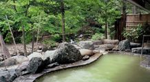 秘湯の宿元泉館
