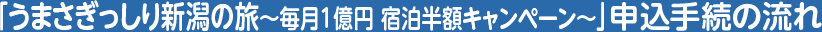 u܂V̗`1~ hzLy[`v\葱̗