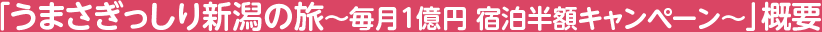 u܂V̗`1~ hzLy[`vTv