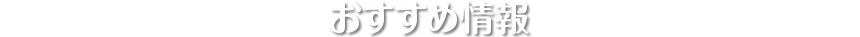 ߏ