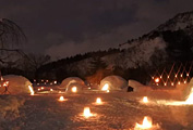 南魚沼市雪まつり