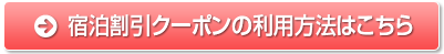 hN[|̗p@͂