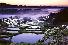 星峠の棚田