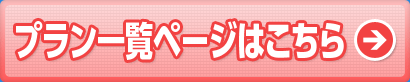 vꗗy[W͂