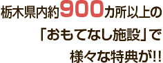 Ȗ،900Jȏ́uĂȂ{݁vŗlXȓTII