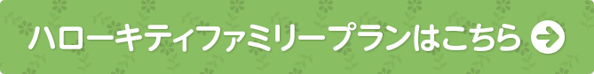 n[LeBt@~[v͂