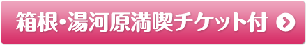 箱根・湯河原満喫チケット付