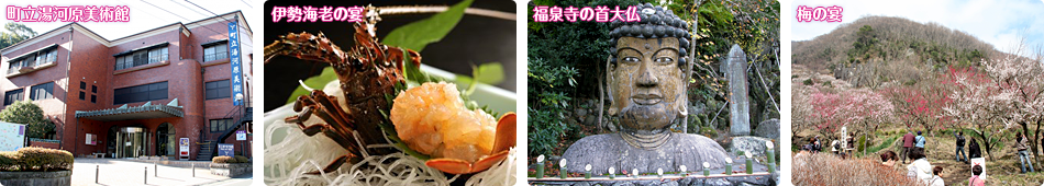 町立湯河原美術館、伊勢海老の宴、福泉寺の首大仏、梅の宴